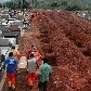 Um ano da tragédia na Região serrana do Rio de Janeiro