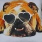Cachorro inspira loja e estampa almofadas, canecas e camisetas Cachorro inspira loja e estampa almofadas, canecas e camisetas