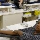 Marronzinhos doam sangue em SP para pedir melhores salários Marronzinhos doam sangue em SP para pedir melhores salários