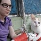 SP realiza feira de adoção com cães, gatos e até cavalos 