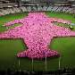 Cerca de 14 mil pessoas participam do desenho da figura de uma mulher no estádio de Melbourne Cerca de 14 mil pessoas participam do desenho da figura de uma mulher no estádio de Melbourne
