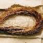 Fios de cabelo que supostamente pertenceram a Che Fios de cabelo que supostamente pertenceram a Che