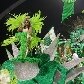 Os melhores momentos da primeira noite de carnaval em São Paulo Os melhores momentos da primeira noite de carnaval em São Paulo