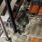 Na cozinha há ralos entupidos, onde se acumulam água e gordura