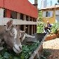 Morar na cidade não é mais desculpa para não ter uma hortinha em casa Morar na cidade não é mais desculpa para não ter uma hortinha em casa
