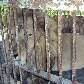 Veja casos de maus-tratos aos animais