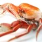 Veja o que o ano oferece em eventos que celebram a comida e a bebida
