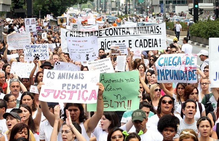 Manifestação contra maus-tratos a animais