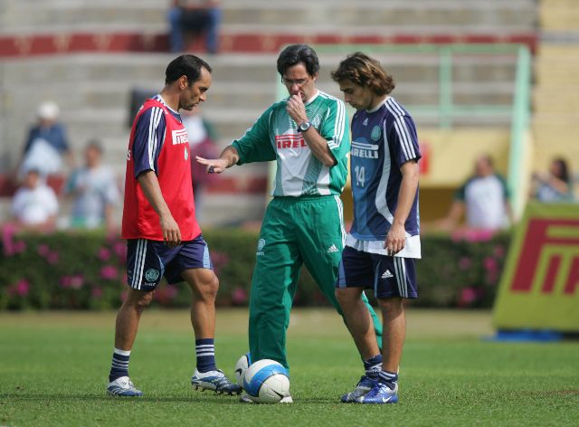 PALMEIRAS/TREINO