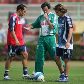 PALMEIRAS/TREINO