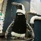 O pingüim Pierre, 25 anos, com o traje de banho que substituiu suas penas, depois que ficou careca O pingüim Pierre, 25 anos, com o traje de banho que substituiu suas penas, depois que ficou careca