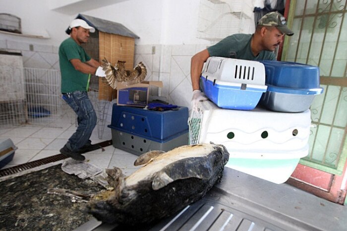 Após a retirada dos últimos animais, ZooNit foi fechado