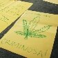 Confira imagens da marcha da maconha no Rio de Janeiro 