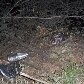 Carro com adolescentes desaparecidos é localizado em rio na Bahia