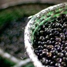 Arte & Lazer - Pará é o maior produtor e fornecedor de açaí do Brasil - Foto: Julia Rettmann/AE