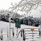 Campo é coberto de neve no norte da Espanha Campo é coberto de neve no norte da Espanha