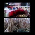 Tecnologia - O Refocus, para Windows Phone, custa R$ 1,99 e, com ele, é possível criar lindas imagens, permitindo que o foco em qualquer ponto seja mudado mais tarde, a qualquer momento, com a ponta dos dedos - Foto: Reprodução