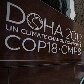 Doha terá ônibus mais verdes