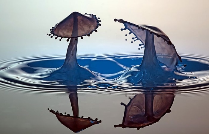 Fotógrafo faz obras de arte com gotas d´água