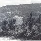 Serra da Cantareira