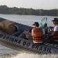 Urnas eletrônicas são transportadas de bote no Rio Amazonas, em Periquitaquara