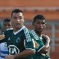 Palmeiras e São Caetano pela 12ª rodada do Paulistão