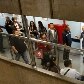 Marronzinhos doam sangue em SP para pedir melhores salários Marronzinhos doam sangue em SP para pedir melhores salários