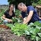 Morar na cidade não é mais desculpa para não ter uma hortinha em casa