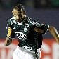 Copa do Brasil - Palmeiras x Paraná Copa do Brasil - Palmeiras x Paraná