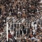 Copa Libertadores: Corinthians e Emelec brigam por vaga nas quartas de final