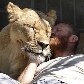 Artista e dono de zoológico decide passar cinco semanas dentro de jaula com leoa na Ucrânia