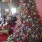Não há limites para a decoração de Natal