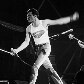 Há 20 anos, morria o insubstituível Freddie Mercury