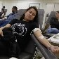 Marronzinhos doam sangue em SP para pedir melhores salários Marronzinhos doam sangue em SP para pedir melhores salários