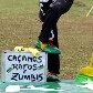 Manifestantes protestam contra Renan Calheiros em Brasília 