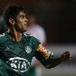 Palmeiras estreia no Brasileirão contra a Portuguesa Palmeiras estreia no Brasileirão contra a Portuguesa