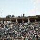 Jogo dos 12 erros: fatos que levaram o Palmeiras à Série B Jogo dos 12 erros: fatos que levaram o Palmeiras à Série B