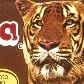 Relembre produtos que seguem no mercado ou deixam saudade 