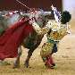 José Tomás senda atingido em arena em Málaga, Espanha