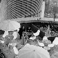Fotos antigas contam um pouco da história da Capital Paulista Fotos antigas contam um pouco da história da Capital Paulista
