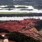 Pobreza reina na área mais protegida do Pará