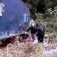 Confira imagens do ônibus que caiu em ribanceira no Paraná 