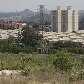 Animais são ameaçados por avanço de condomínios no interior de SP Animais são ameaçados por avanço de condomínios no interior de SP