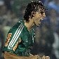 Palmeiras vence Atlético-PR e se classifica para as semi finais