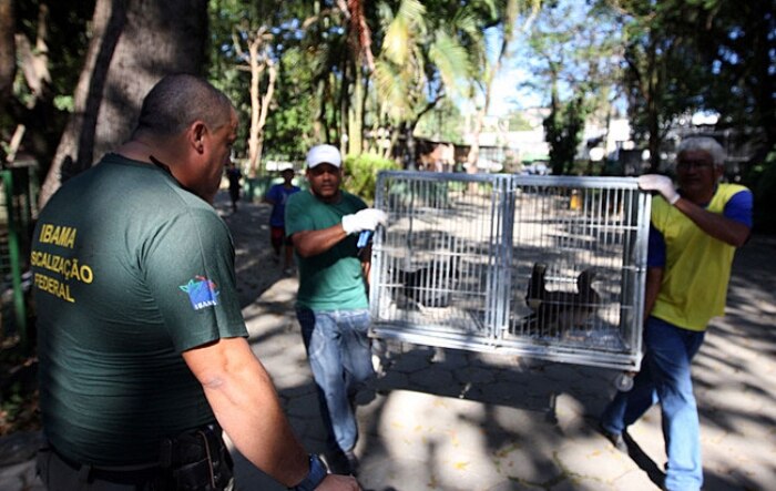 Ibama removeu os últimos animais da Fundação Jardim Zoológico de Niterói (ZooNit)