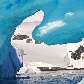Registros da expedição Mar Sem Fim: Antártica