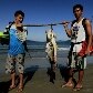 SP: litoral norte tem praias limpas e desertas SP: litoral norte tem praias limpas e desertas