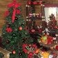 Shoppings antecipam a decoração de Natal