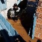 Municípios do Vale do Ribeira, em SP, decretam calamidade após enchentes
