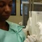 Entenda como o mosquito criado em laboratório não transmite dengue 